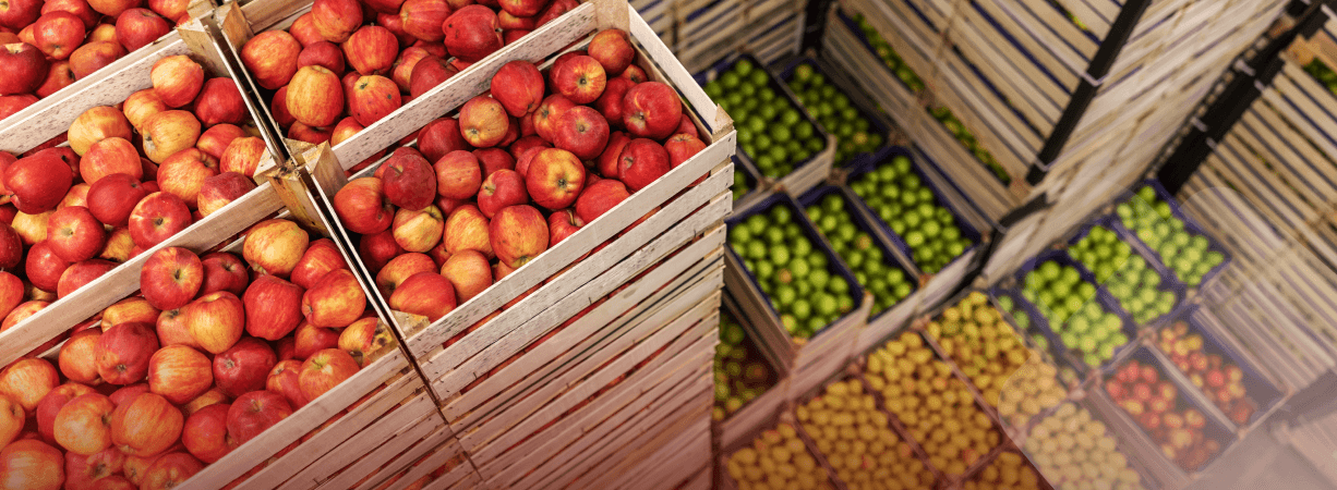 The Importance and Development of the Food and Beverage Industry in Turkey and Opportunities for Importing Food Materials and Equipment