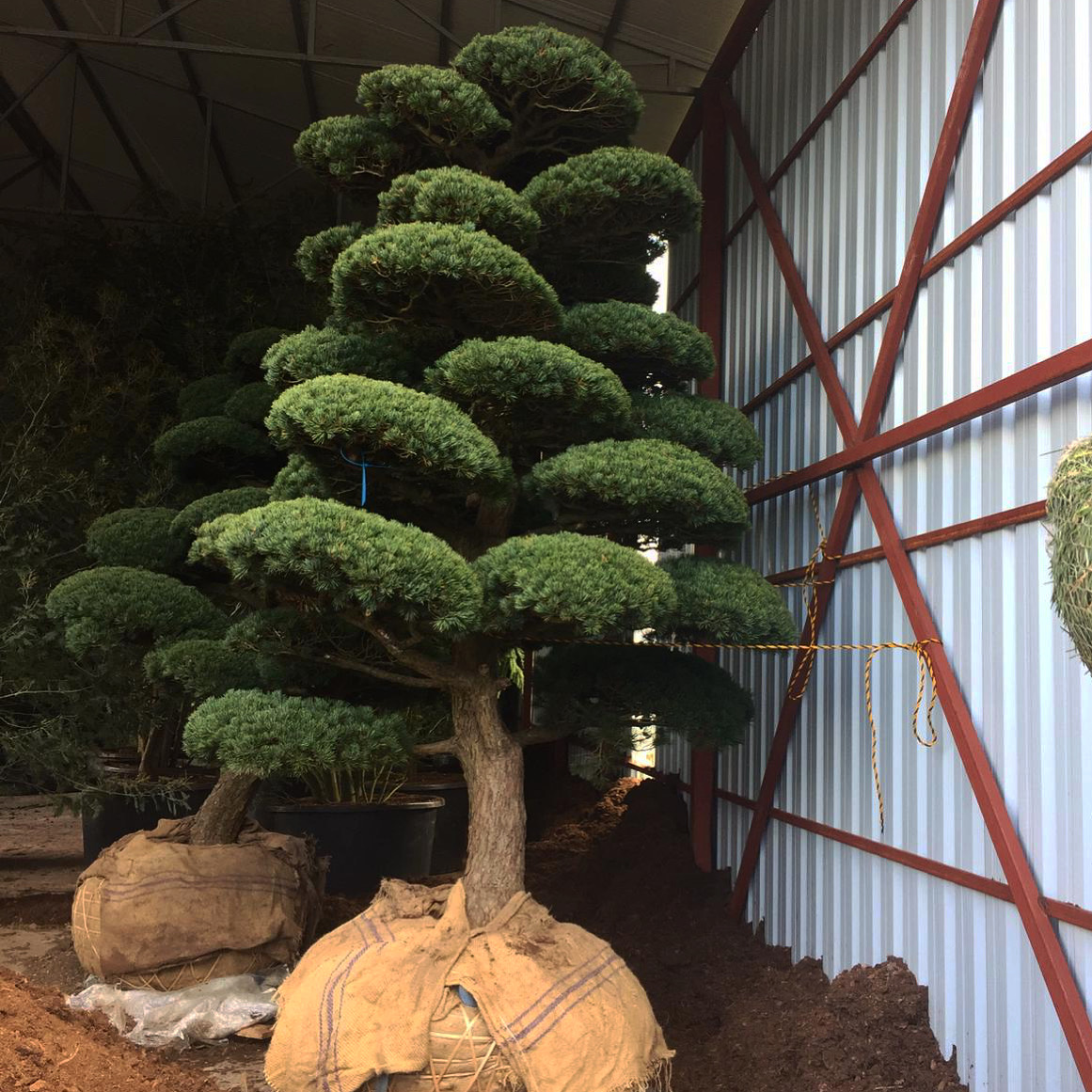 Turkiye, Industrial Products, Agricultural and Gardening Products