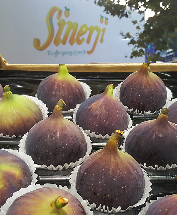 Turkiye, Food Industry, Vegetables and Fruits