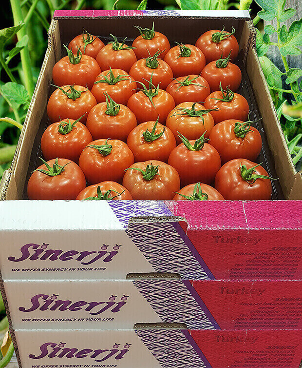 Turkiye, Food Industry, Vegetables and Fruits