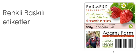 Turkiye, Textile Products, Textile Accessories - Supplies