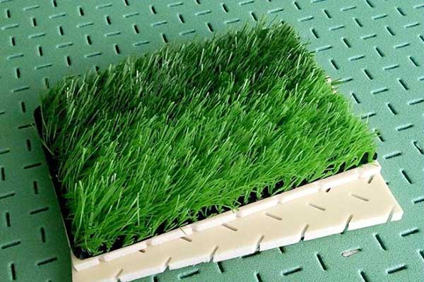 Turkiye, Construction and Building, Landscaping, Artificial Grass