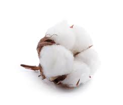 Turkiye, Textile Products, Cotton-Wool-Fiber, General - Textile Products, Yarn