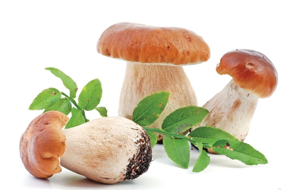 Turkiye, Food Industry, General Food, Spices - Seasonings, Vegetables and Fruits