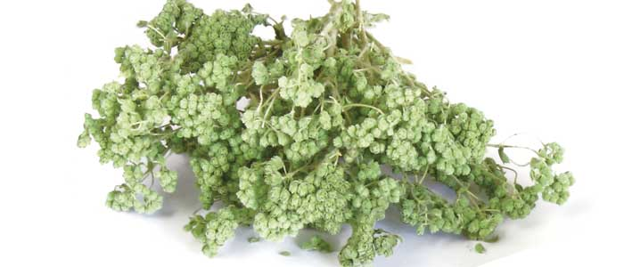 Turkiye, Food Industry, General Food, Spices - Seasonings, Vegetables and Fruits