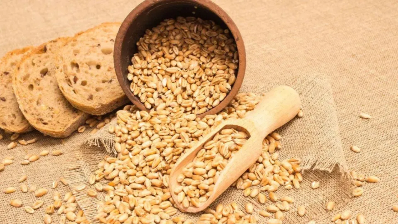 Turkiye, Medical and Health Products, Pharmaceuticals, Natural Health and Wellness Products