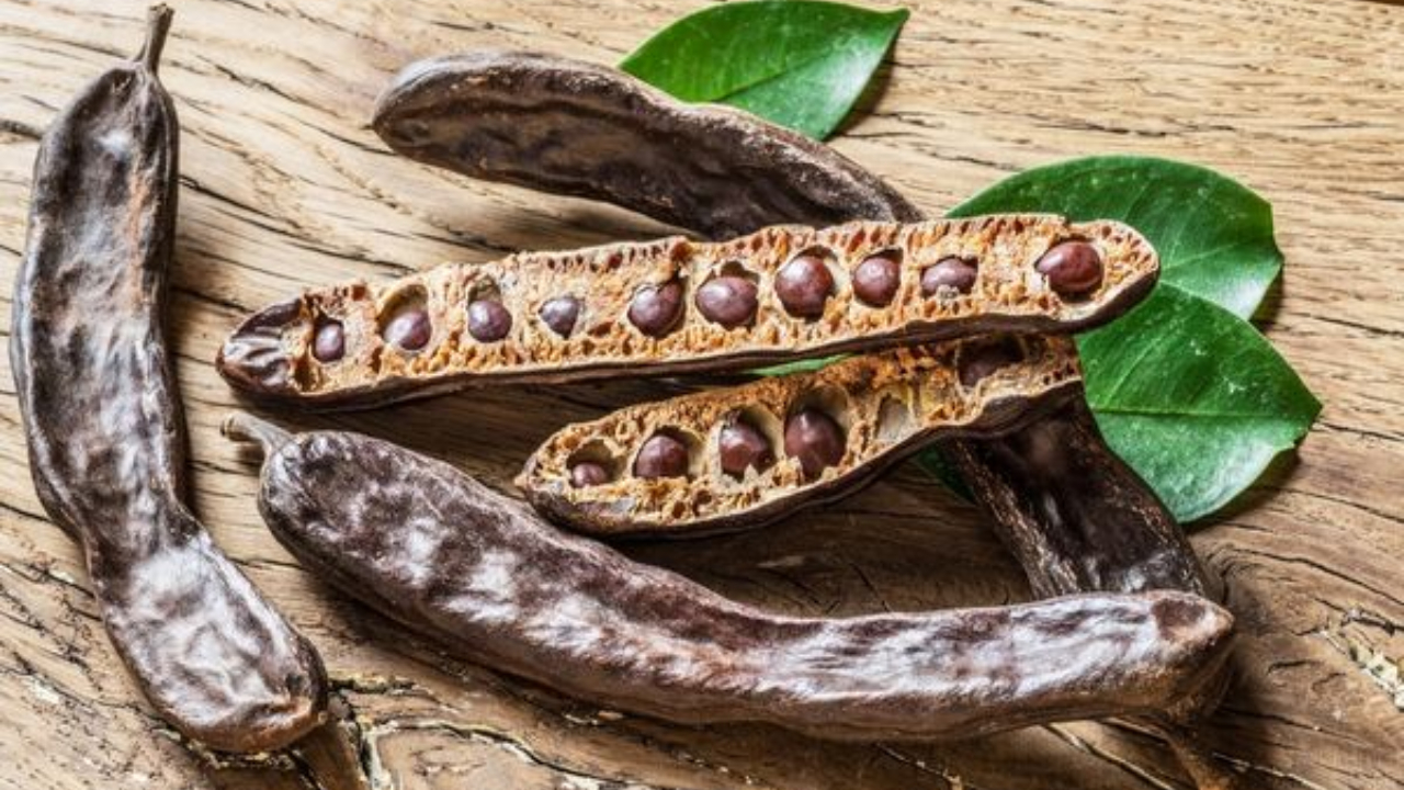 Turkiye, Medical and Health Products, Pharmaceuticals, Natural Health and Wellness Products