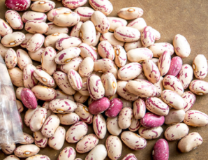 Turkiye, Food Industry, Chips and Snacks, Dried Nuts, General Food, Pulses - Cereals