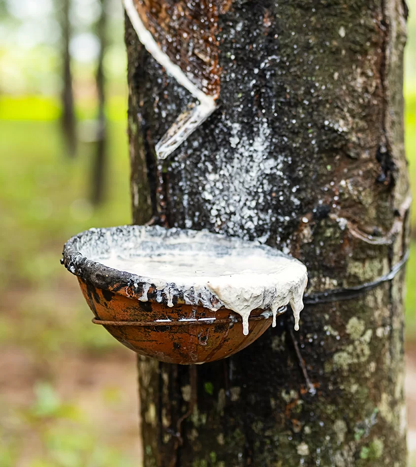 Turkiye, Plastics and Rubber Industry, General - Plastics and Rubber Industry, Plastic and Rubber Raw Materials