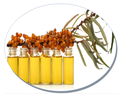 Turkiye, Industrial Products, Industrial Chemicals