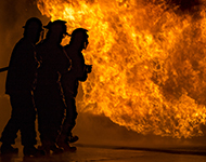 Turkiye, Textile Products, Cotton-Wool-Fiber