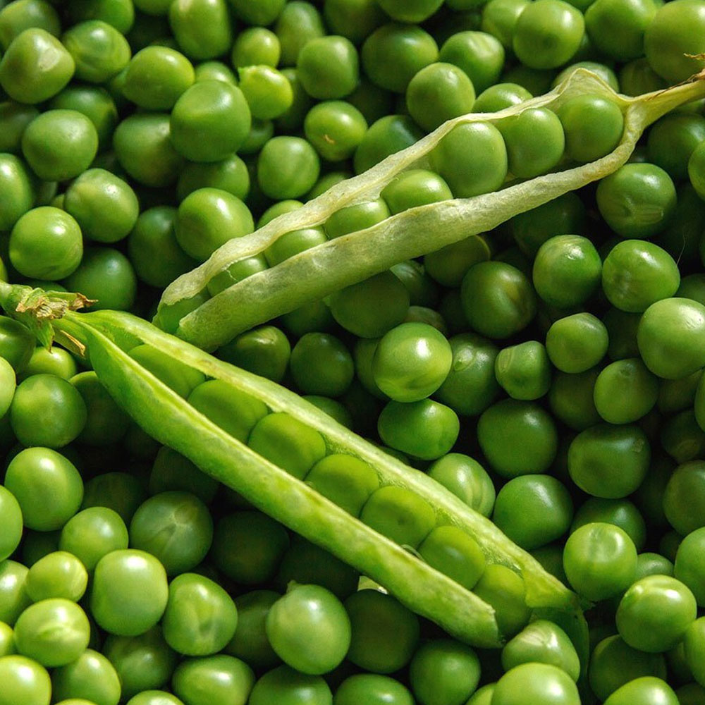 Turkiye, Food Industry, Flour - Semolina - Starch, Pulses - Cereals, Spices - Seasonings