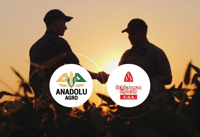 Turkiye, Food Industry, Flour - Semolina - Starch, Pulses - Cereals, Spices - Seasonings