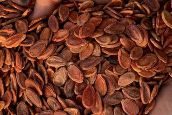 Turkiye, Food Industry, Dried Foods, Dried Nuts, Frozen Products, General Food, Jam - Spread - Molasses