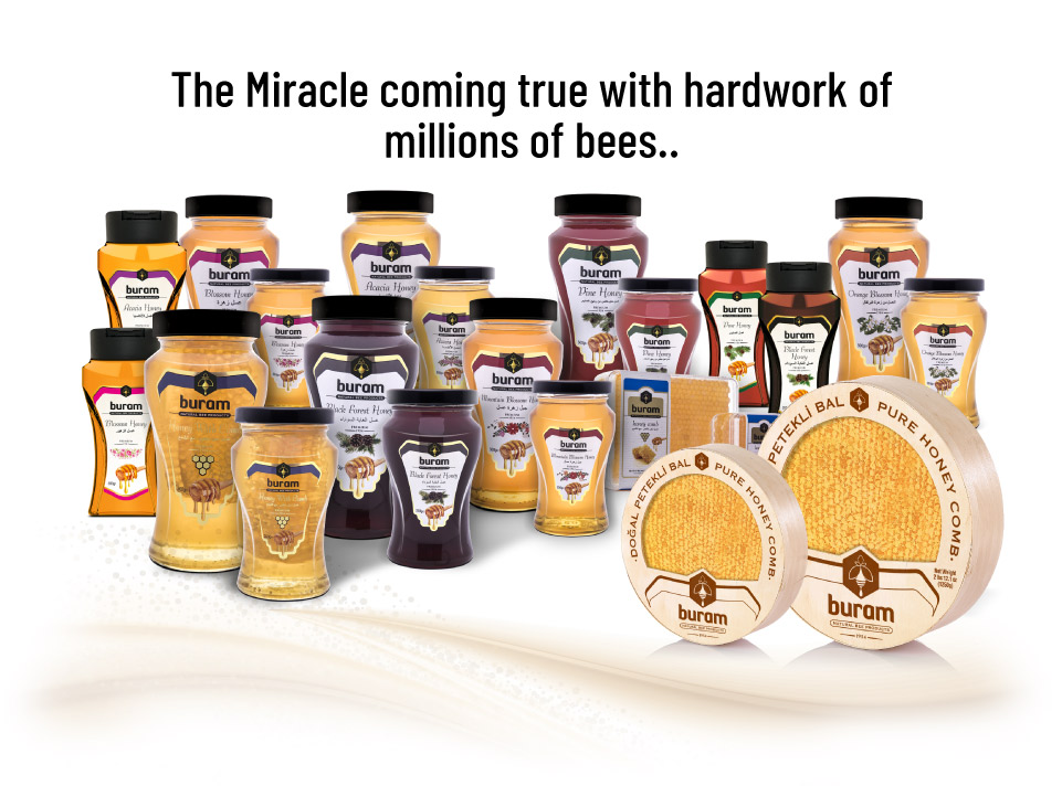 Turkiye, Food Industry, Honey