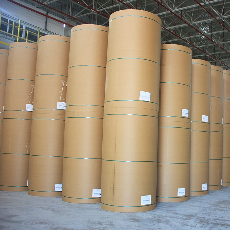 Turkiye, Packaging - Paper - Printing, Packaging Auxiliary Materials, Environmentally Friendly Packaging, Paper Packaging, Paper Types