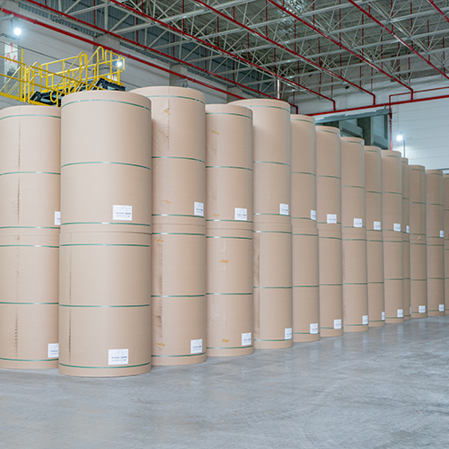 Turkiye, Packaging - Paper - Printing, Packaging Auxiliary Materials, Environmentally Friendly Packaging, Paper Packaging, Paper Types