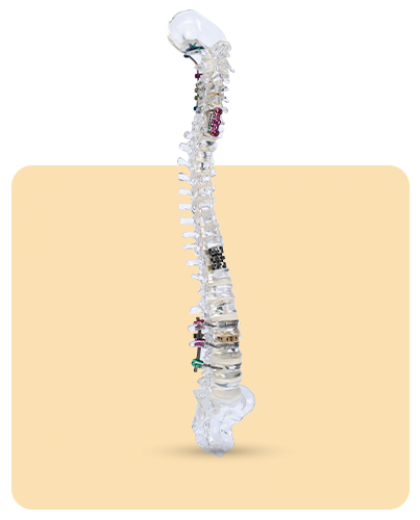 Turkiye, Medical and Health Products, Medical Devices and Equipment, Rehabilitation Products