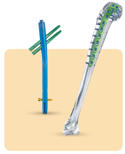 Turkiye, Medical and Health Products, Medical Devices and Equipment, Rehabilitation Products