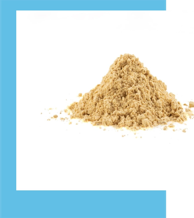 Turkiye, Medical and Health Products, Disposable Medical Supplies, Pharmaceuticals, Natural Health and Wellness Products