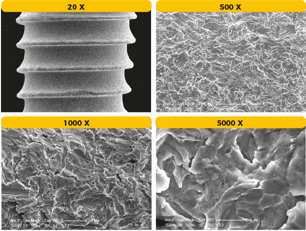 Turkiye, Medical and Health Products, Dental Health Products