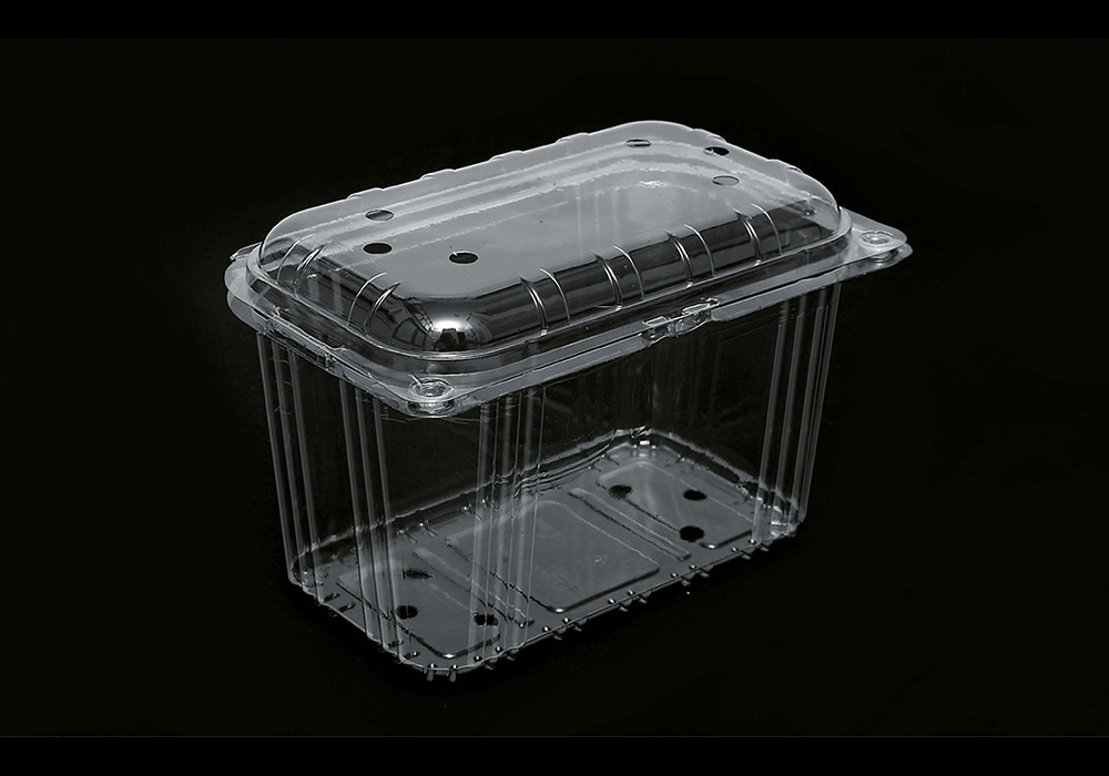 Turkiye, Packaging - Paper - Printing, Plastic Packaging, Ceramics & Food Packaging