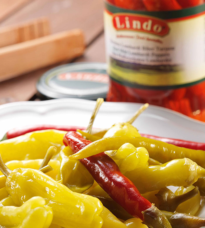 Turkiye, Food Industry, Canned Foods, Convenience Foods, Dried Foods, General Food, Sauces - Ketchup, Spices - Seasonings