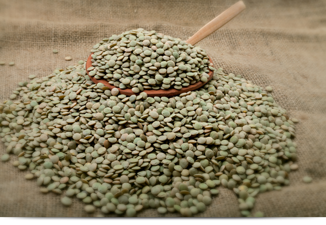 Turkiye, Food Industry, Pulses - Cereals