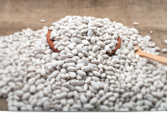 Turkiye, Food Industry, Pulses - Cereals