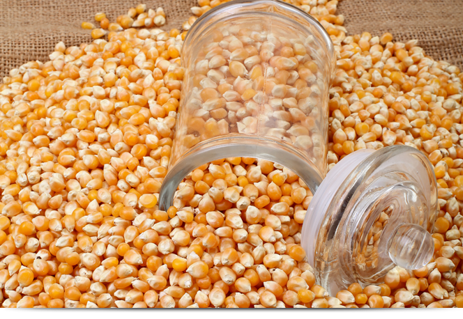 Turkiye, Food Industry, Pulses - Cereals