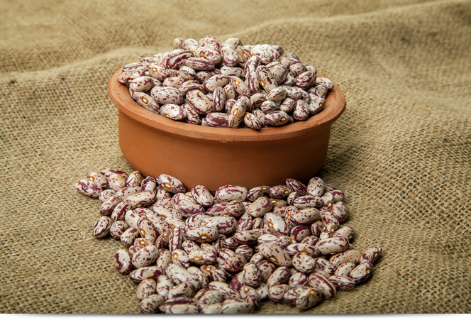 Turkiye, Food Industry, Pulses - Cereals