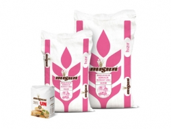 Turkiye, Food Industry, Eggs - Egg Substitutes, Flour - Semolina - Starch, General Food