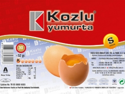 Turkiye, Food Industry, Eggs - Egg Substitutes, Flour - Semolina - Starch, General Food