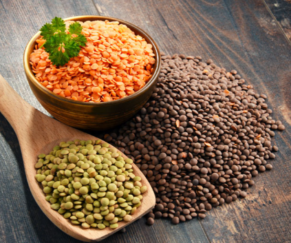 Turkiye, Food Industry, Canned Foods, Dried Foods, Dried Nuts, General Food, Herbal Products, Pulses - Cereals
