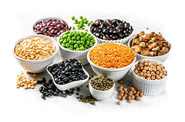 Turkiye, Food Industry, Dried Foods, Dried Nuts, General Food, Pulses - Cereals, Spices - Seasonings
