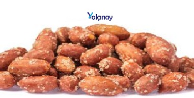 Turkiye, Food Industry, Dried Foods, Dried Nuts, General Food