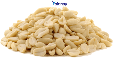 Turkiye, Food Industry, Dried Foods, Dried Nuts, General Food