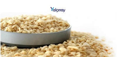 Turkiye, Food Industry, Dried Foods, Dried Nuts, General Food