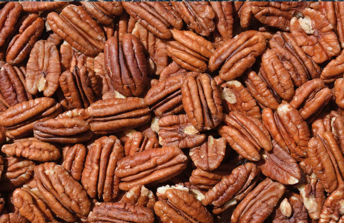 Turkiye, Food Industry, Beverages - Coffee - Tea, Dried Foods, Dried Nuts, General Food