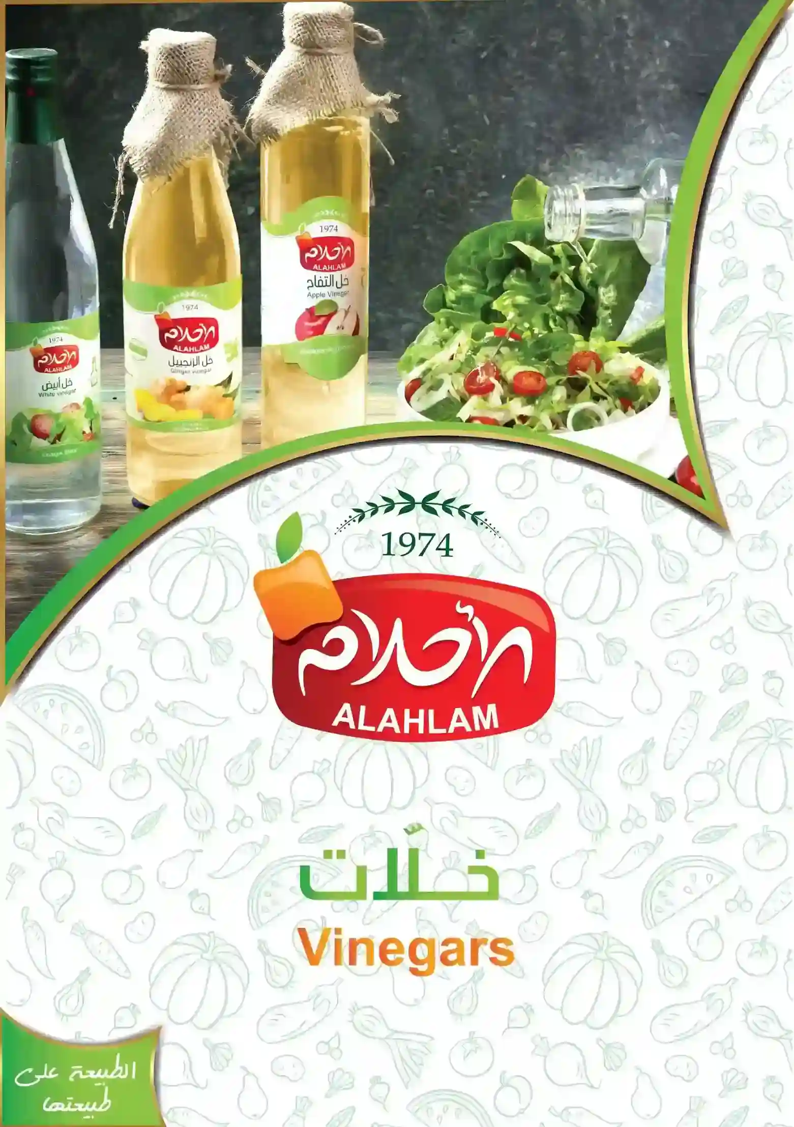 Turkiye, Food Industry, Canned Foods, Convenience Foods, Cooking Oils, General Food, Herbal Products, Jam - Spread - Molasses