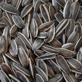 Turkiye, Food Industry, Cooking Oils, Dried Foods, Dried Nuts, General Food, Spices - Seasonings