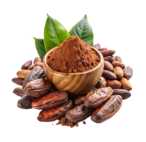 Turkiye, Food Industry, Chocolate, General Food, Herbal Products, Vegan Diet Foods