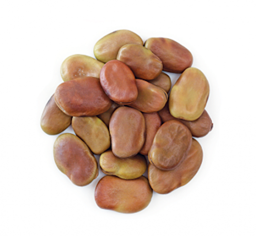 Turkiye, Food Industry, Dried Foods, Dried Nuts, Flour - Semolina - Starch, Pasta - Macaroni, Pulses - Cereals, Spices - Seasonings