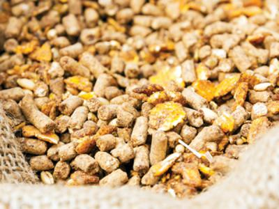 Turkiye, Food Industry, Dried Foods, Dried Nuts, General Food, Pulses - Cereals, Spices - Seasonings