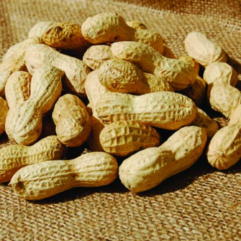 Turkiye, Food Industry, Chips and Snacks, Dried Foods, Dried Nuts, General Food, Herbal Products, Vegan Diet Foods