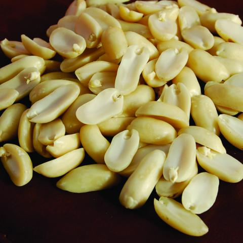 Turkiye, Food Industry, Chips and Snacks, Dried Foods, Dried Nuts, General Food, Herbal Products, Vegan Diet Foods