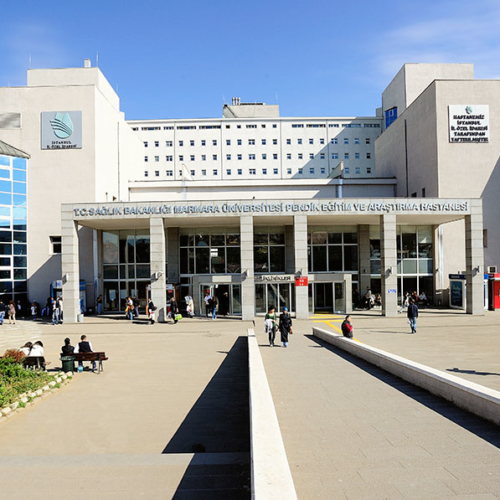 Turkiye, Construction and Building, Elevators - Escalators